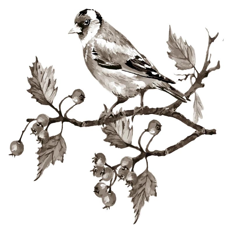 Vogel