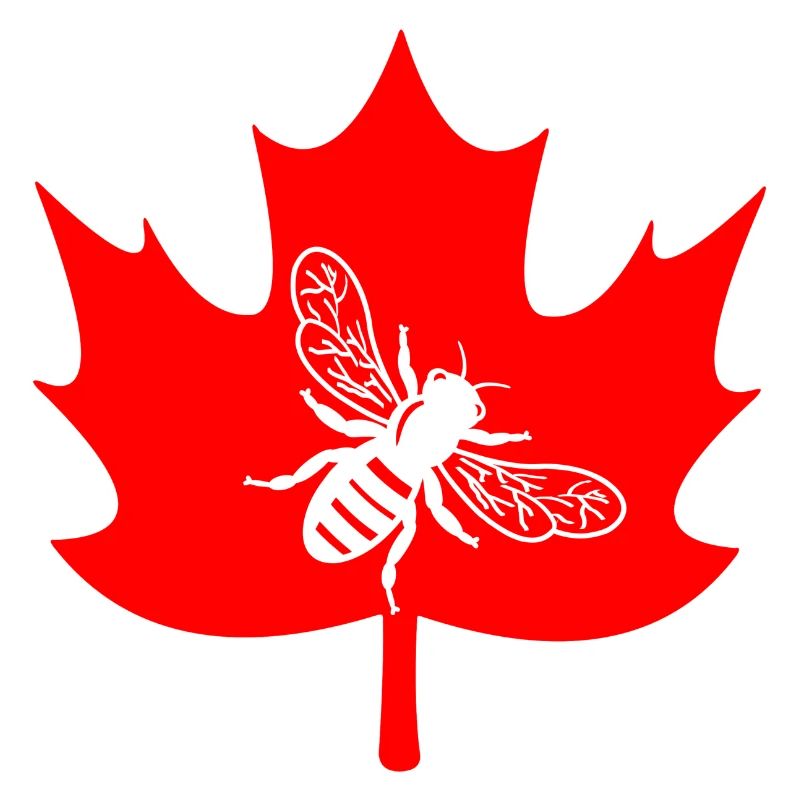 Canada white bee in maple leaf beekeeper logo