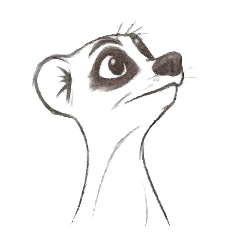 fragendes Erdmännchen