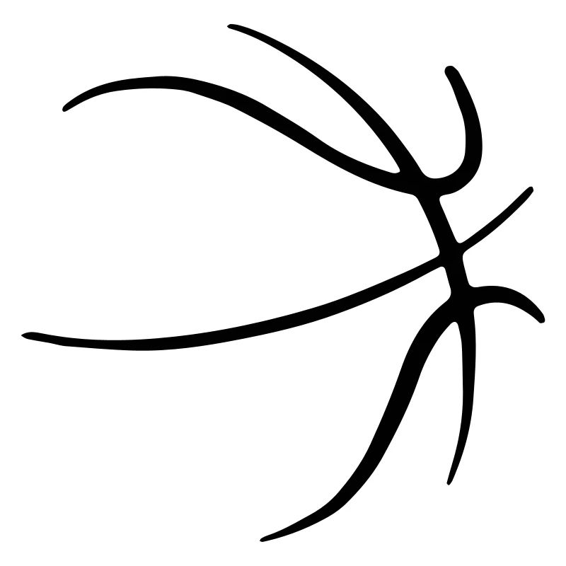 Basket-ball 33