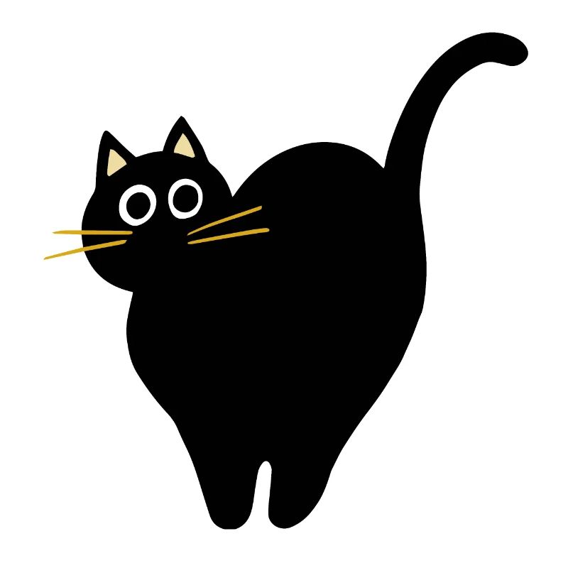 Chat noir effrayé