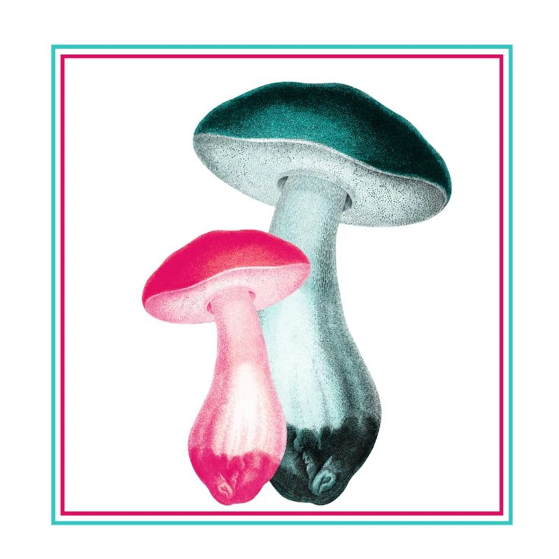 Mushrooms
