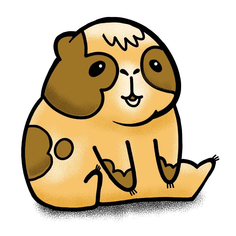 Sitting Squat Guinea Pig