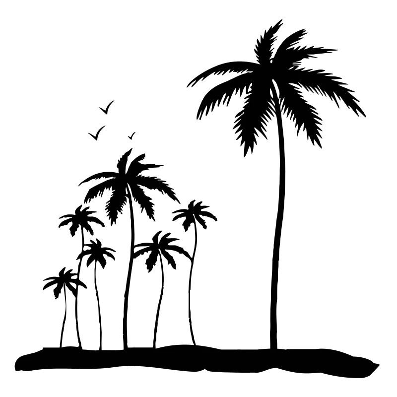 Palm Island