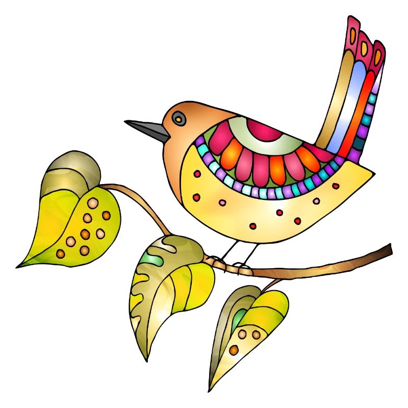 Oiseau coloré