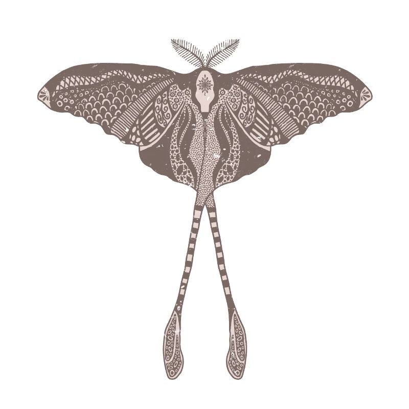 Chinese Moon Moth - Luna Moon Moth