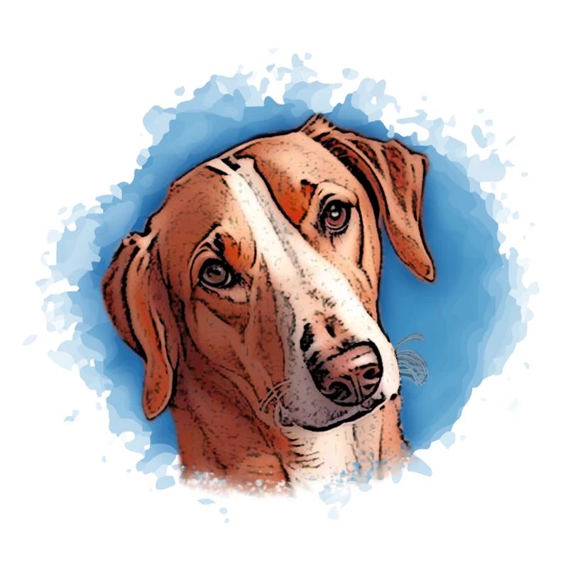 Hund SAVEBRACKE Jagdhund türkis Aquarell Design 