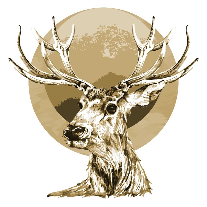 Cerf