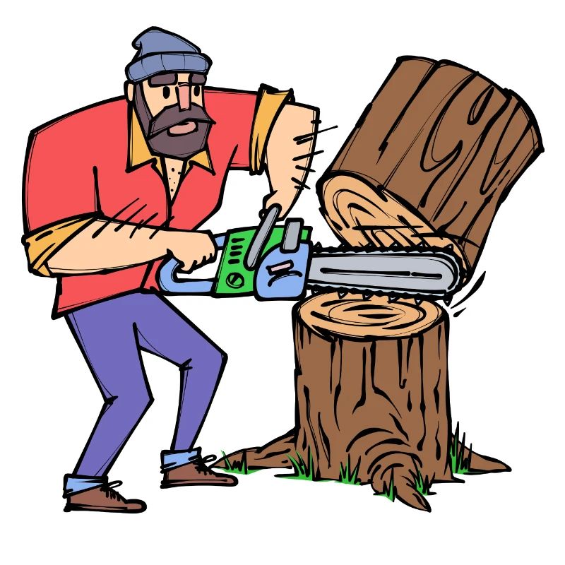 Sciure de bois sciure de bois bûcheron