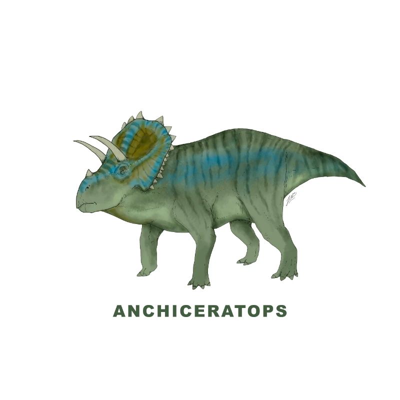 ANCHICERATOPS