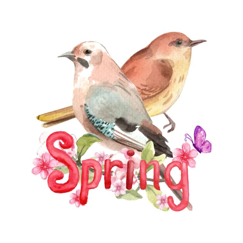 Spring