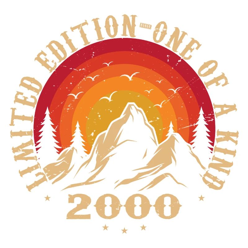 Vintage 2000 Retro 2000 Geburtstagsgeschenk 2000