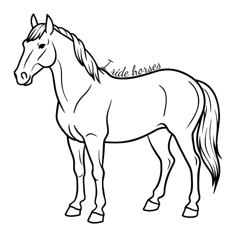 Pferd i ride horses