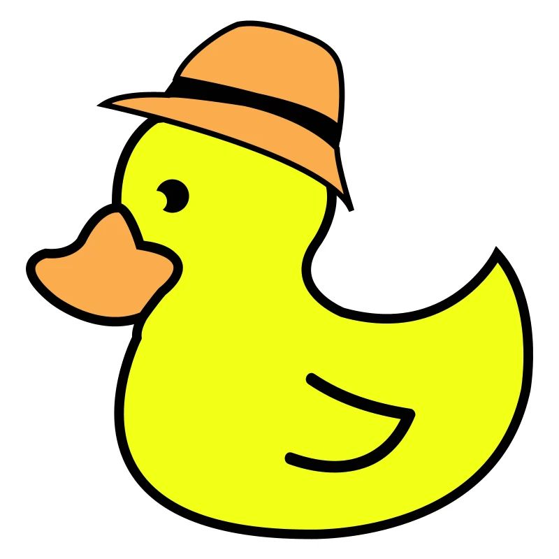 Chapeau de canard