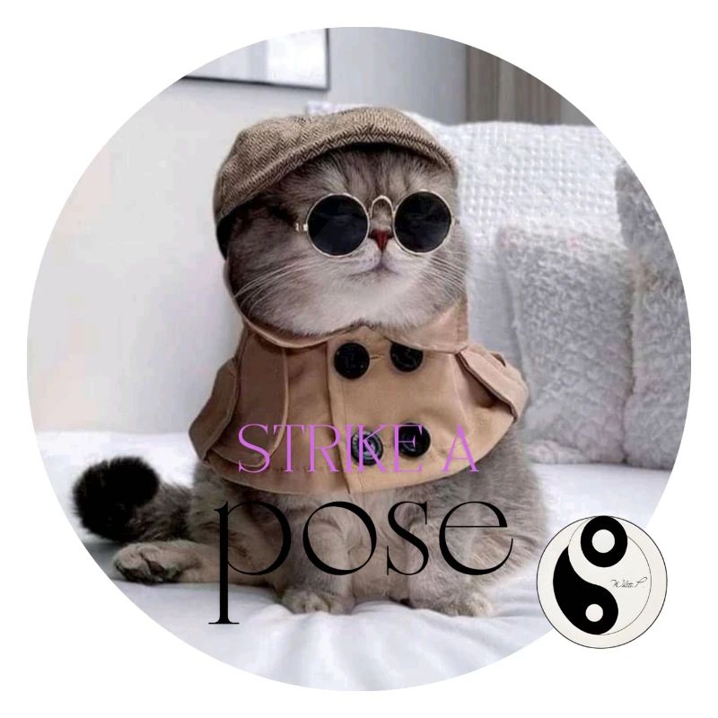 White P. Strike A Pose