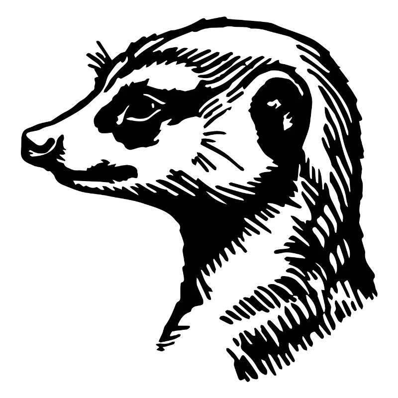 Erdmännchen
