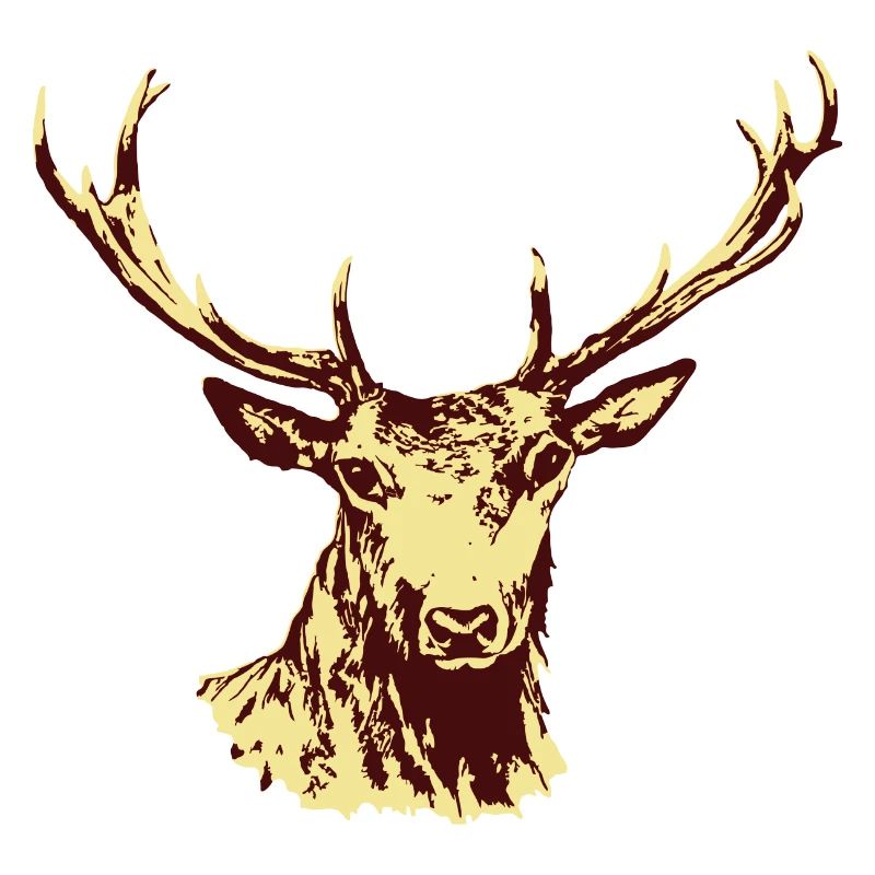 Hirsch