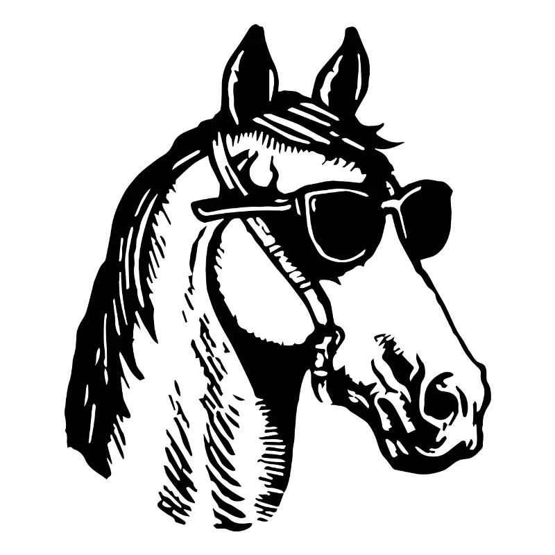 Cheval Chevaux Équitation Cavalier