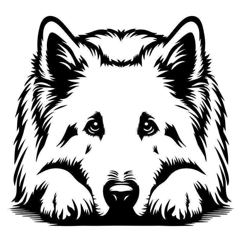 Schweizer Schäferhund