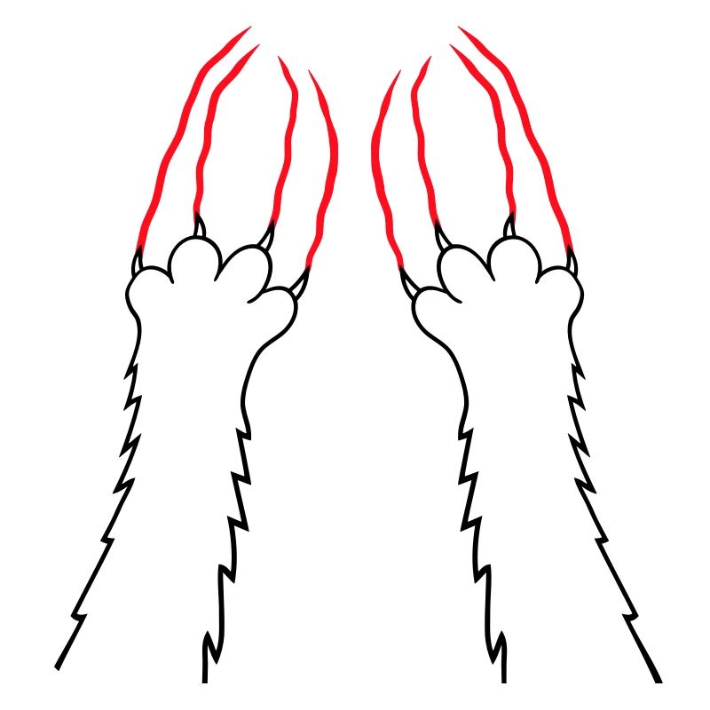 Cats, Claws, Paws, Paws, Claws, Scratches, Stripes