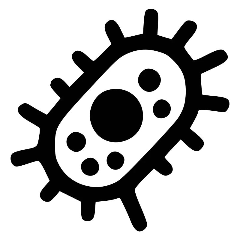 Bacteria