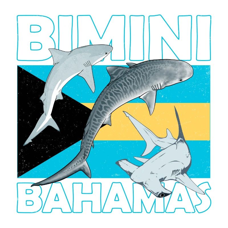 Bimini Drapeau des Bahamas