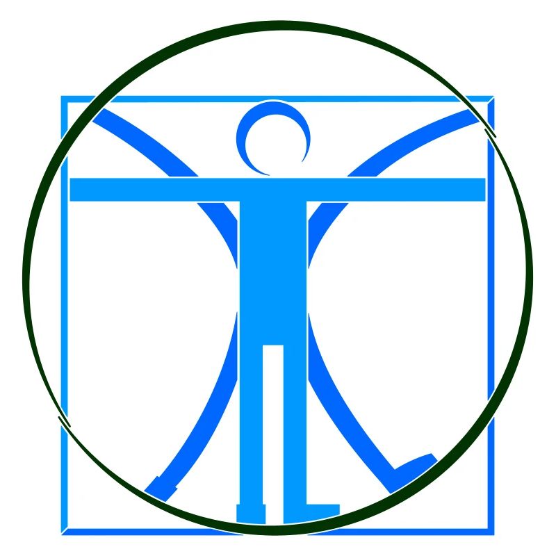 Human Leonardo da Vinci Stroke - Colors Selectable