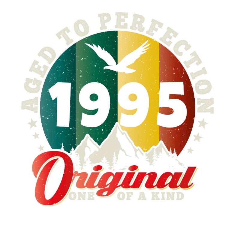 Vintage Geburtstag 1995 - 1995 Retro Geschenkidee