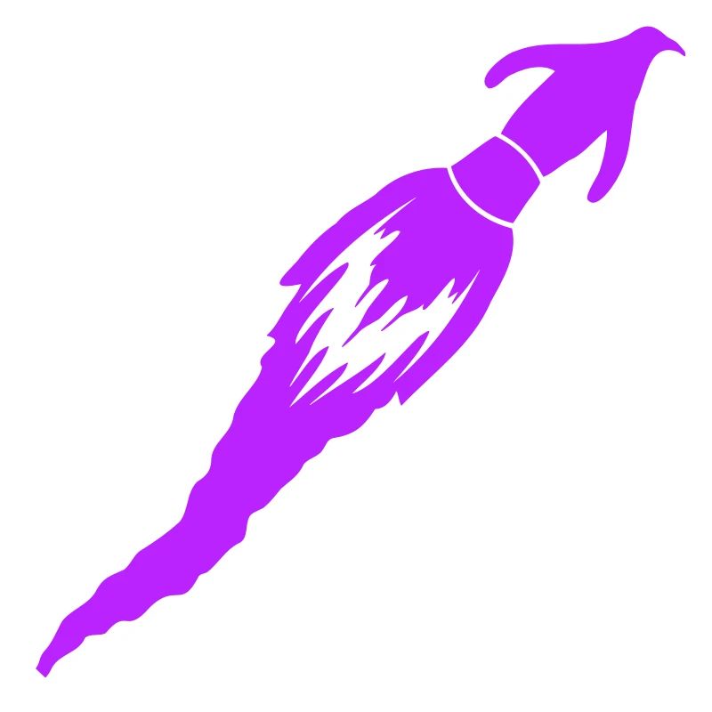 Funny Penguin Rocket Fire Fun Flight Flying
