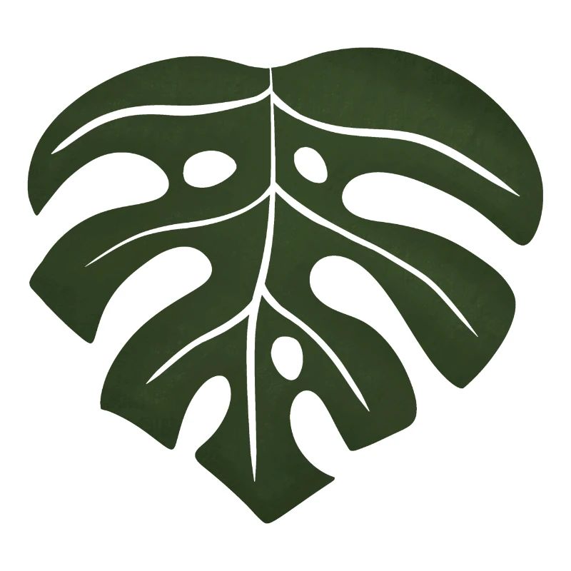 monstera leaf