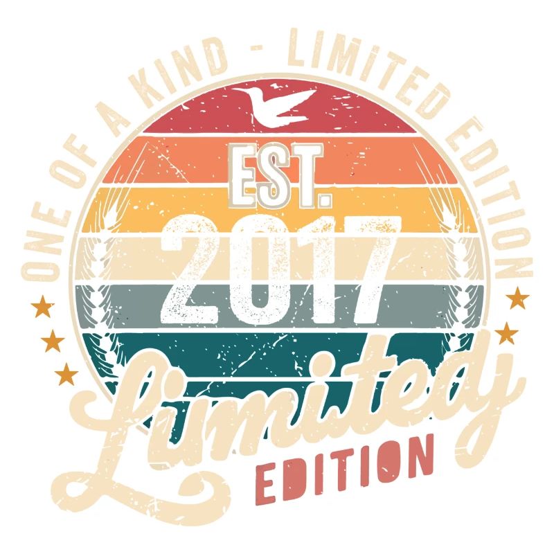 Birthday Gift 2017 Vintage 2017 Retro 2017