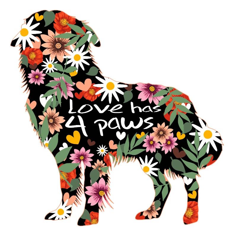 Hunderasse Australian Sheperd