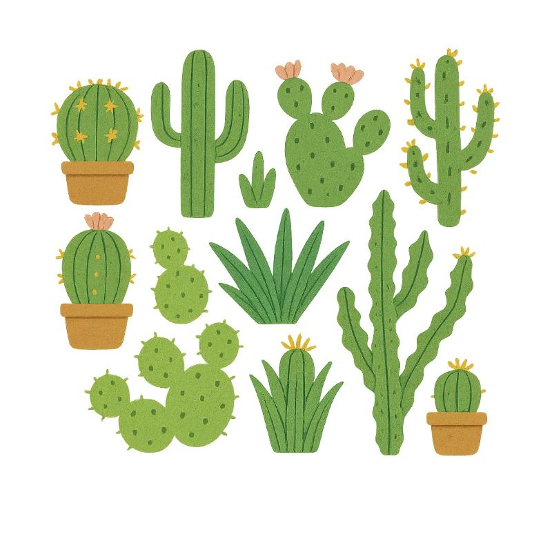 Différents types de cactus