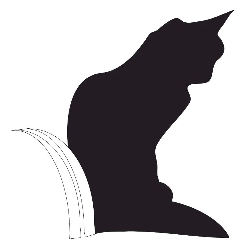 Nemo, schwarze Katz im Keller