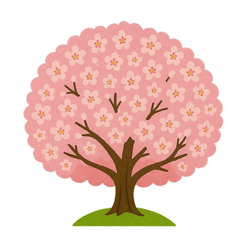 Cherry blossom