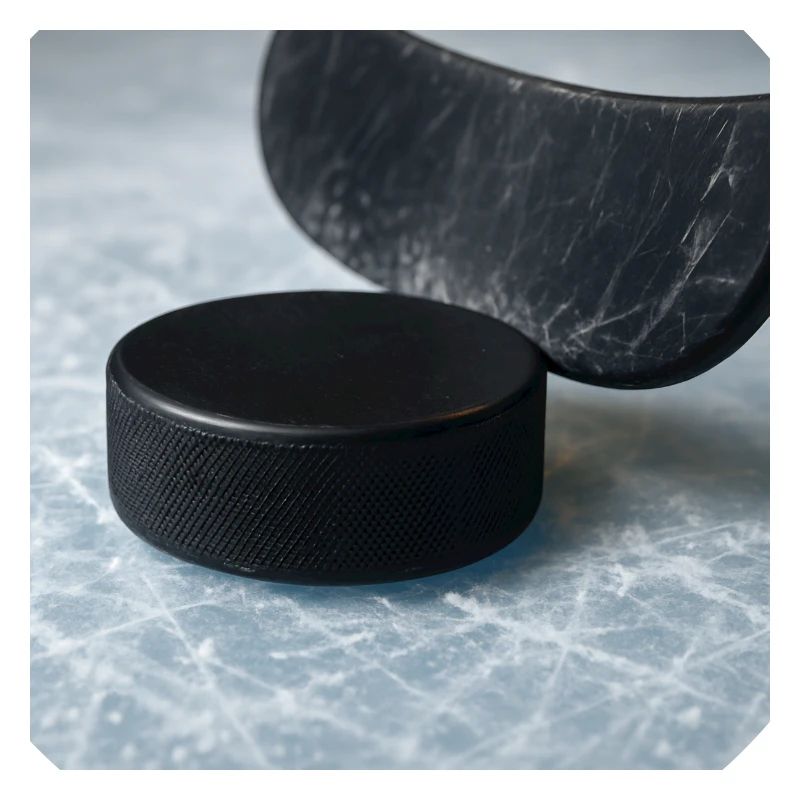 Hockey - Stick and puck