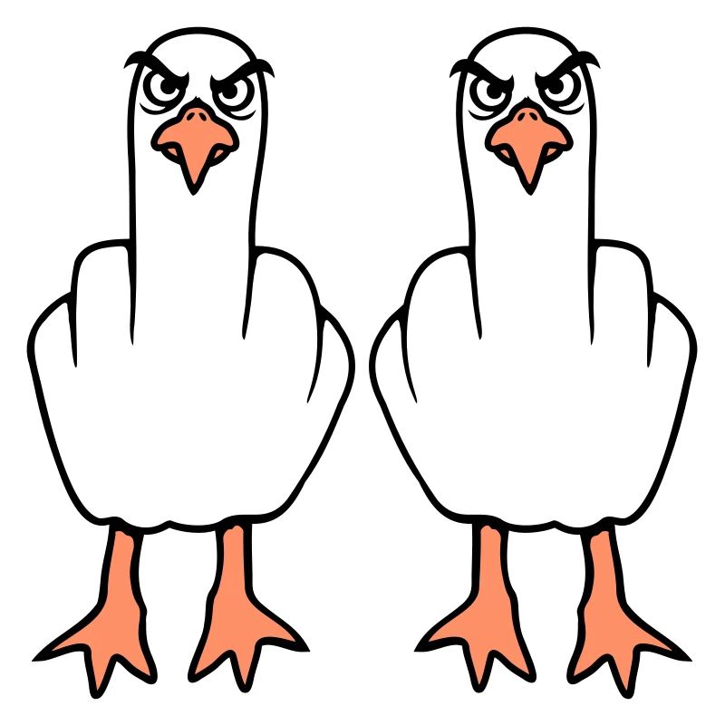 2 Seagulls Middle Finger Insult Stinkfinger Team