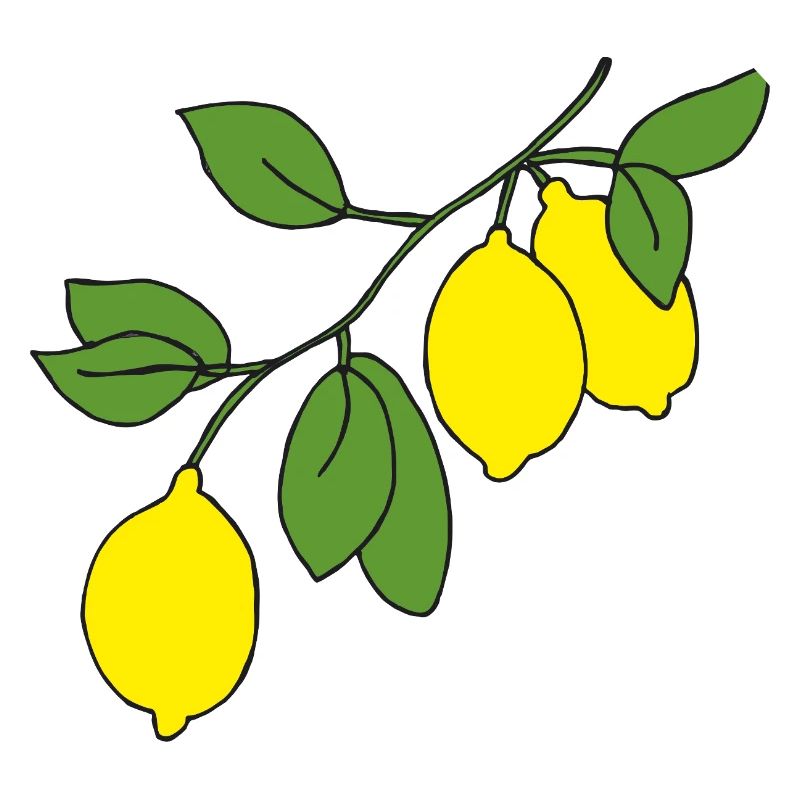 Branche de citronnier
