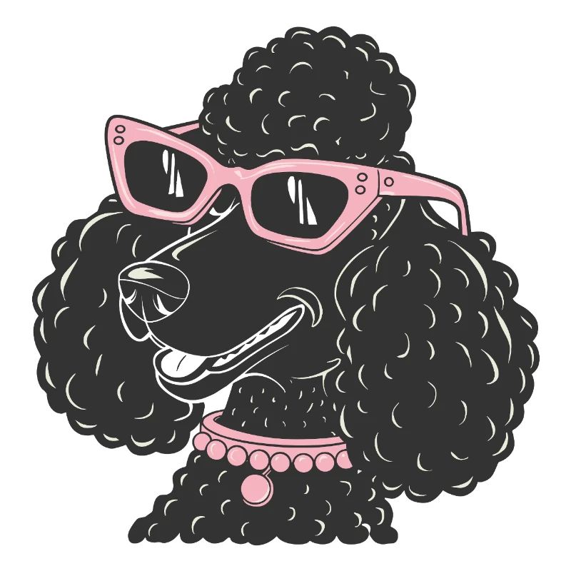 Drôle de caniche