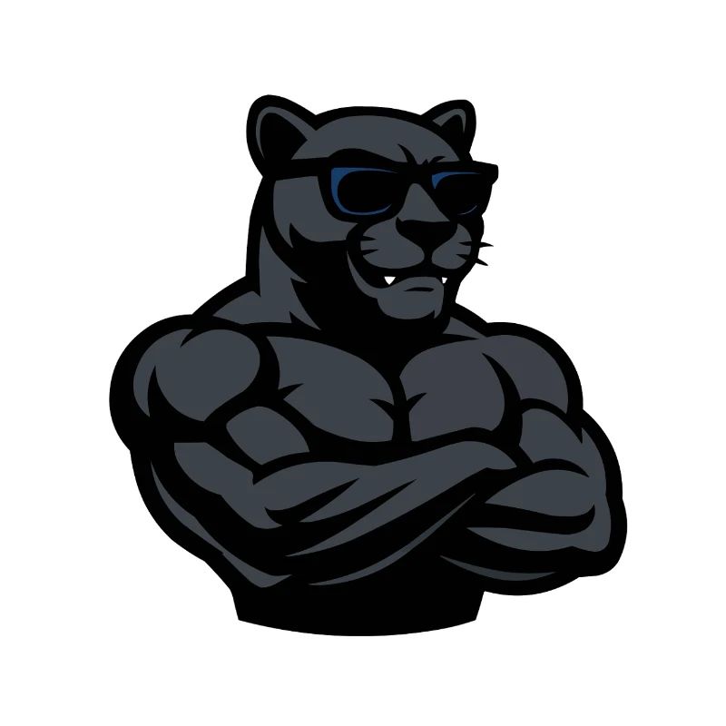 Panther Sunglasses Comic Cool
