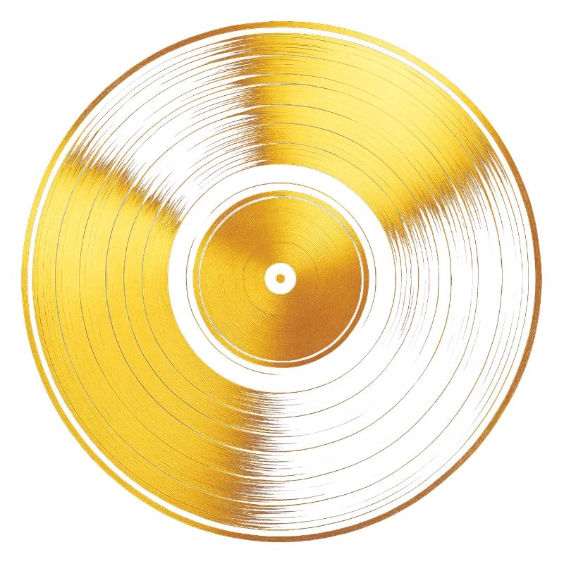 Collectionneur Vinyle Disque Or Vinyle