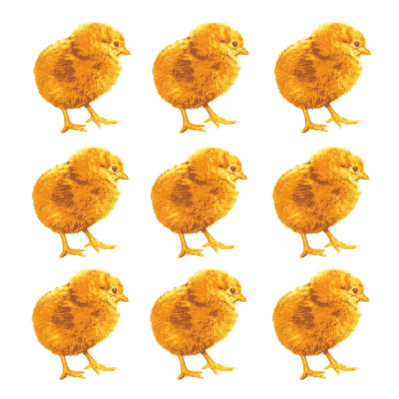 Chick Pattern for Spring and Nature