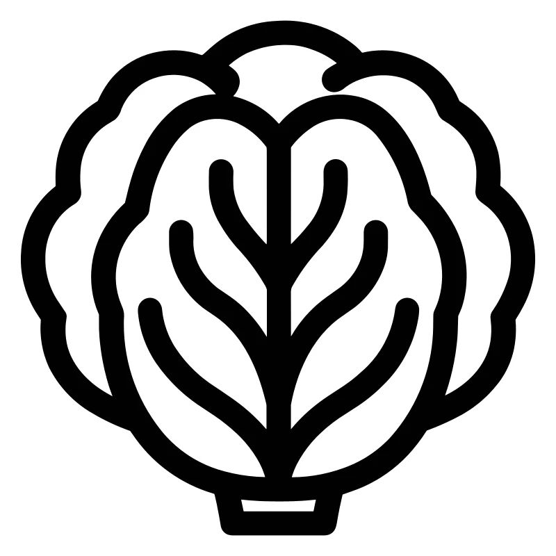 cabbage