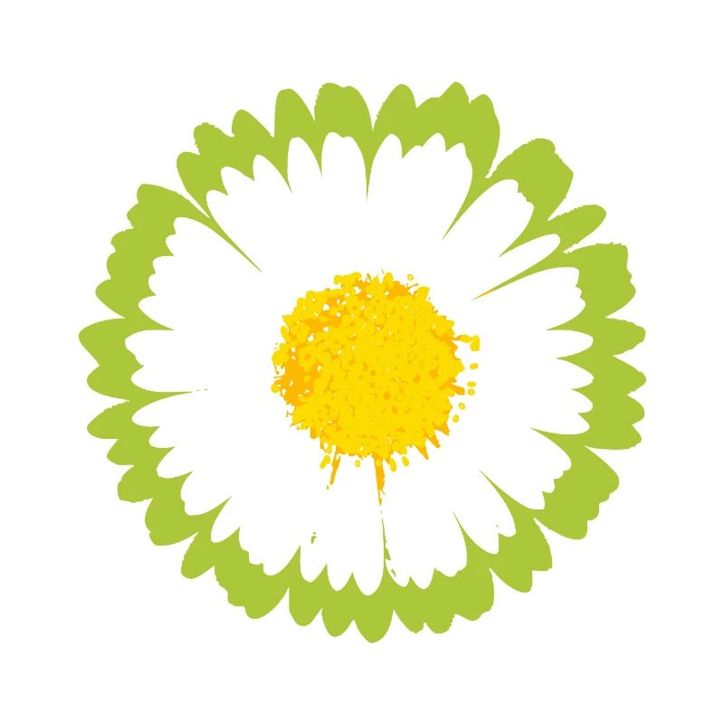 Sunny Daisy Pop Blume