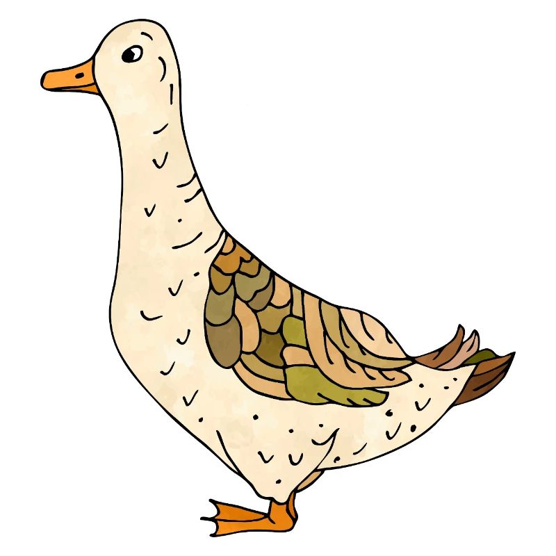 duck