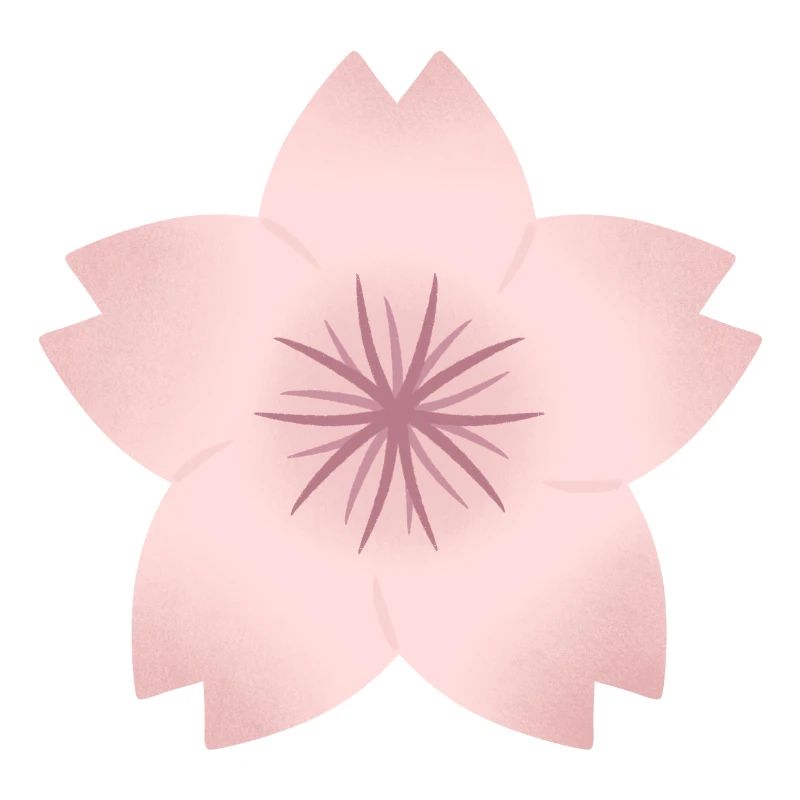 Blush Cherry Bloom