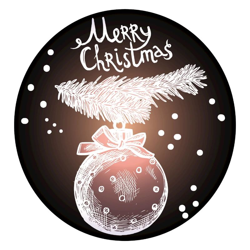 Weihnachtskugel mit Tannenzweig