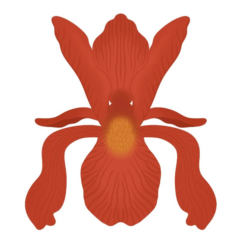 Crimson Iris Flame