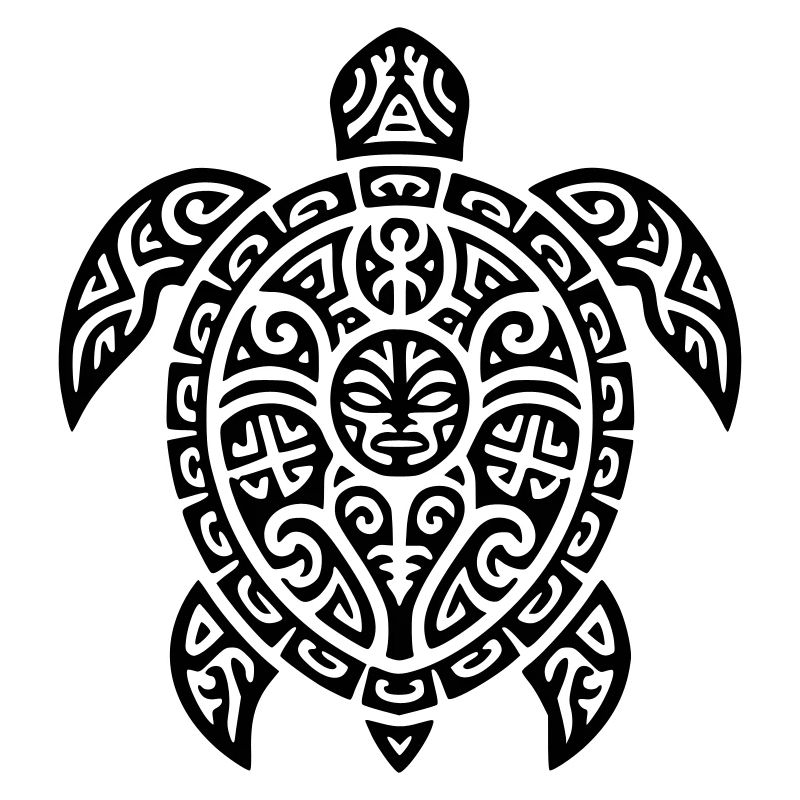 tortoise