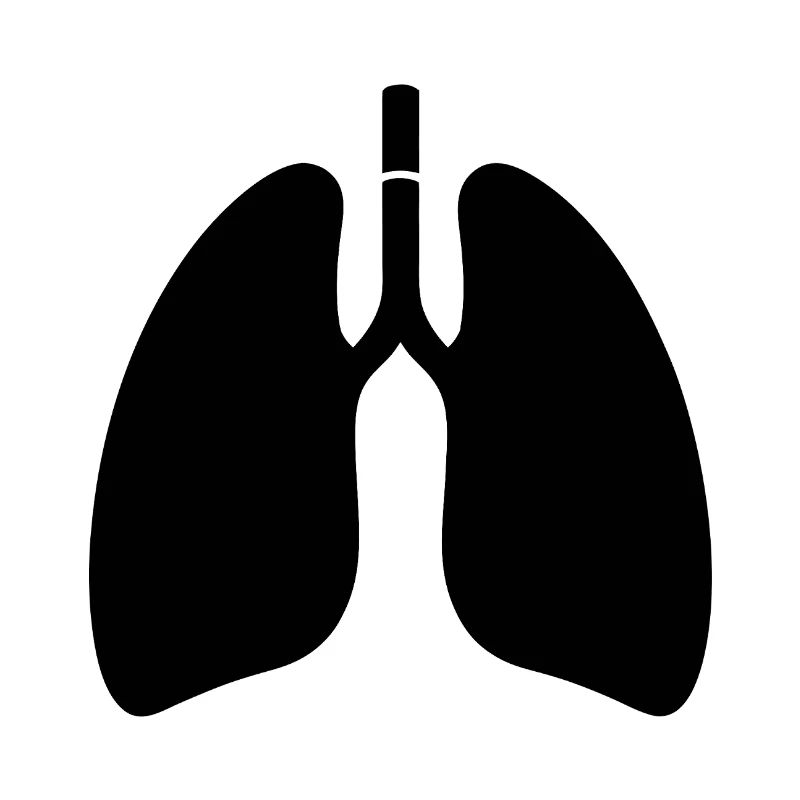 Lungs